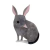 Bouncy Burrow Dweller Bilby Brooch