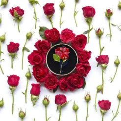 Budding Romance Rose Brooch