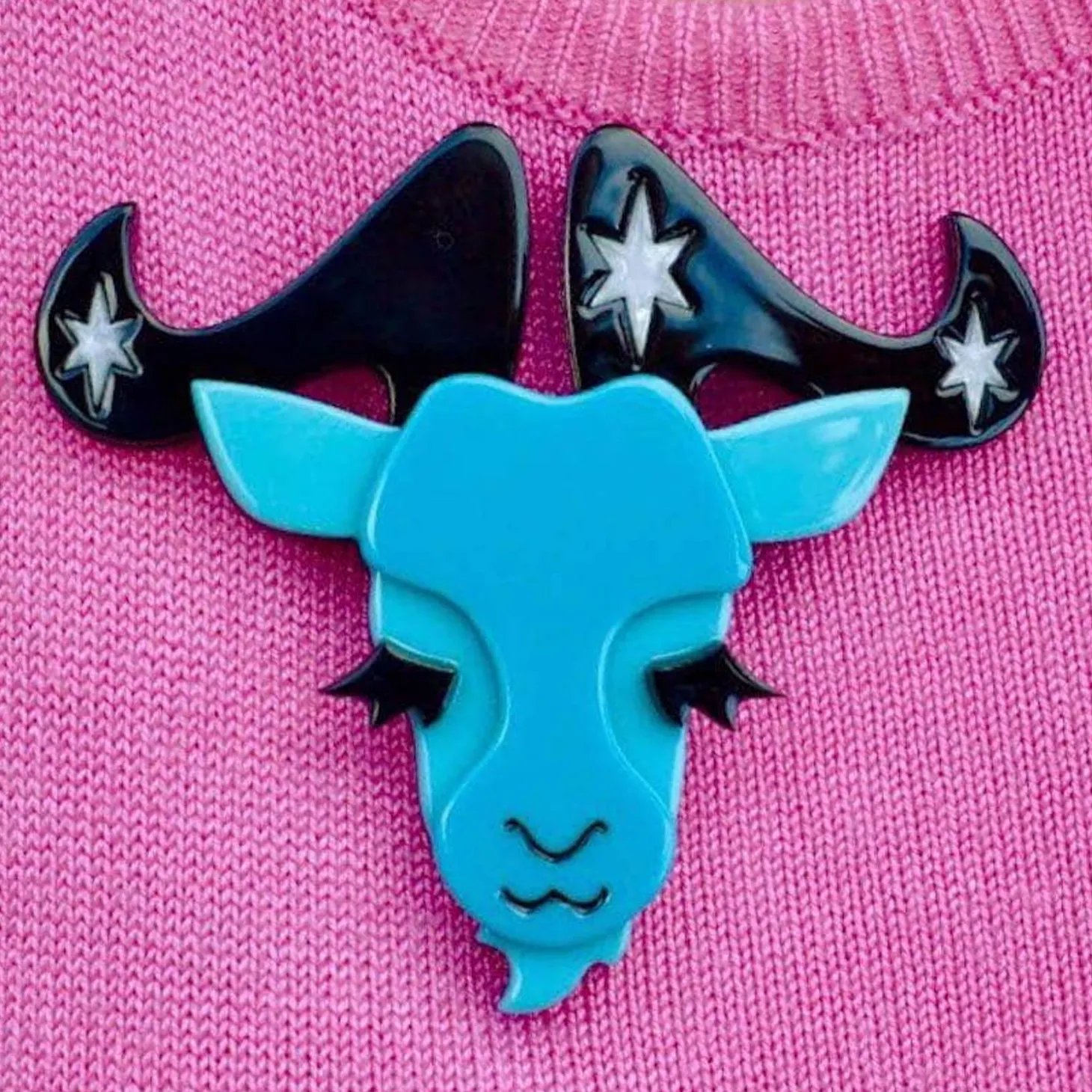 Capricorn The Controlled Brooch