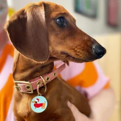 Christmas Spiffy Enamel Pet Charm