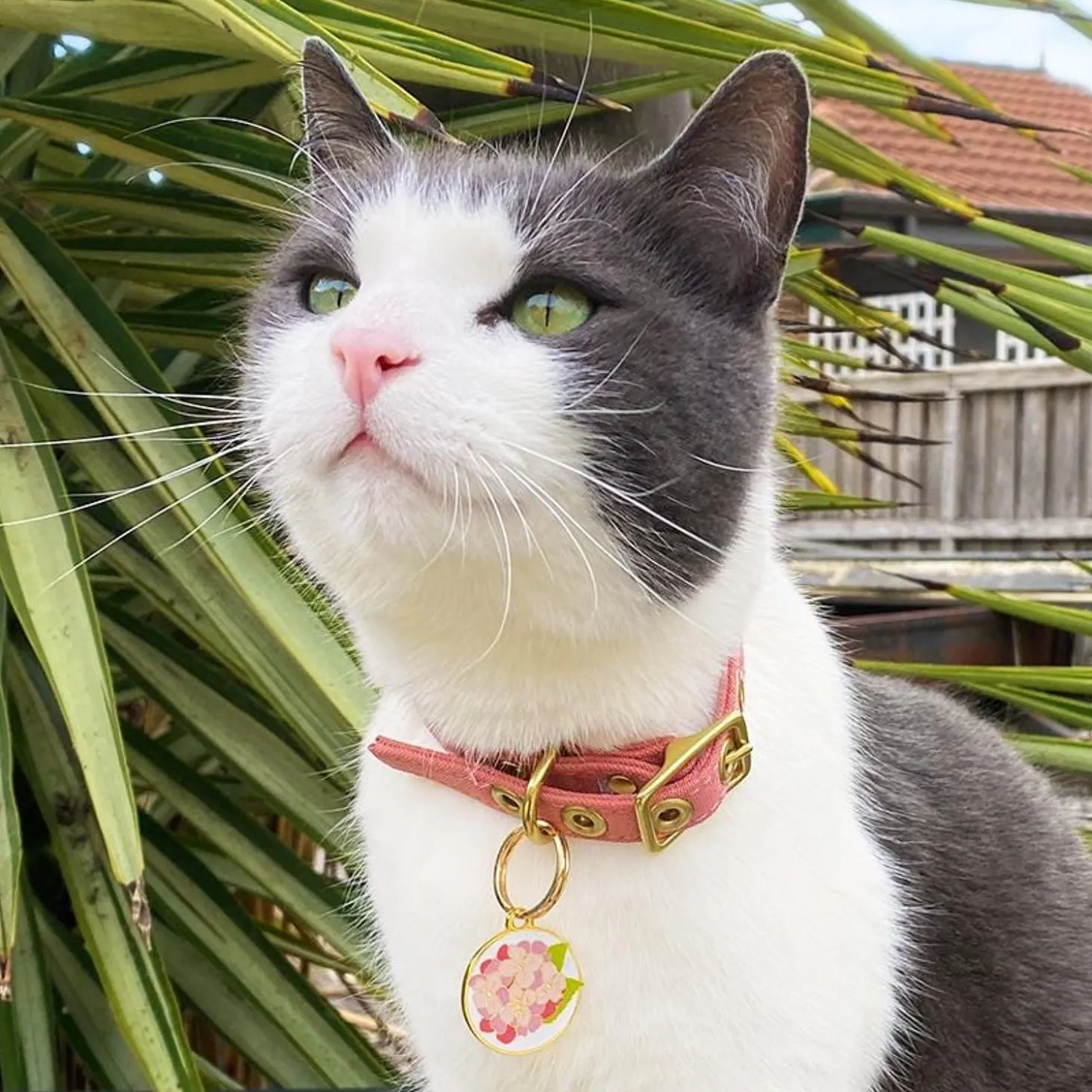 Heartfelt Hydrangea Enamel Pet Charm