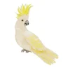 Hello Cocky Brooch