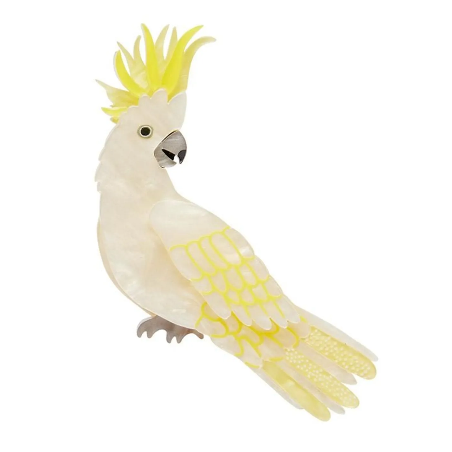 Hello Cocky Brooch