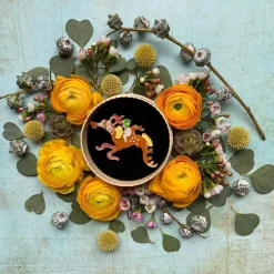 Leafy And The Sea Dragon Brooch