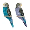 Pair O' Keets Brooch Set