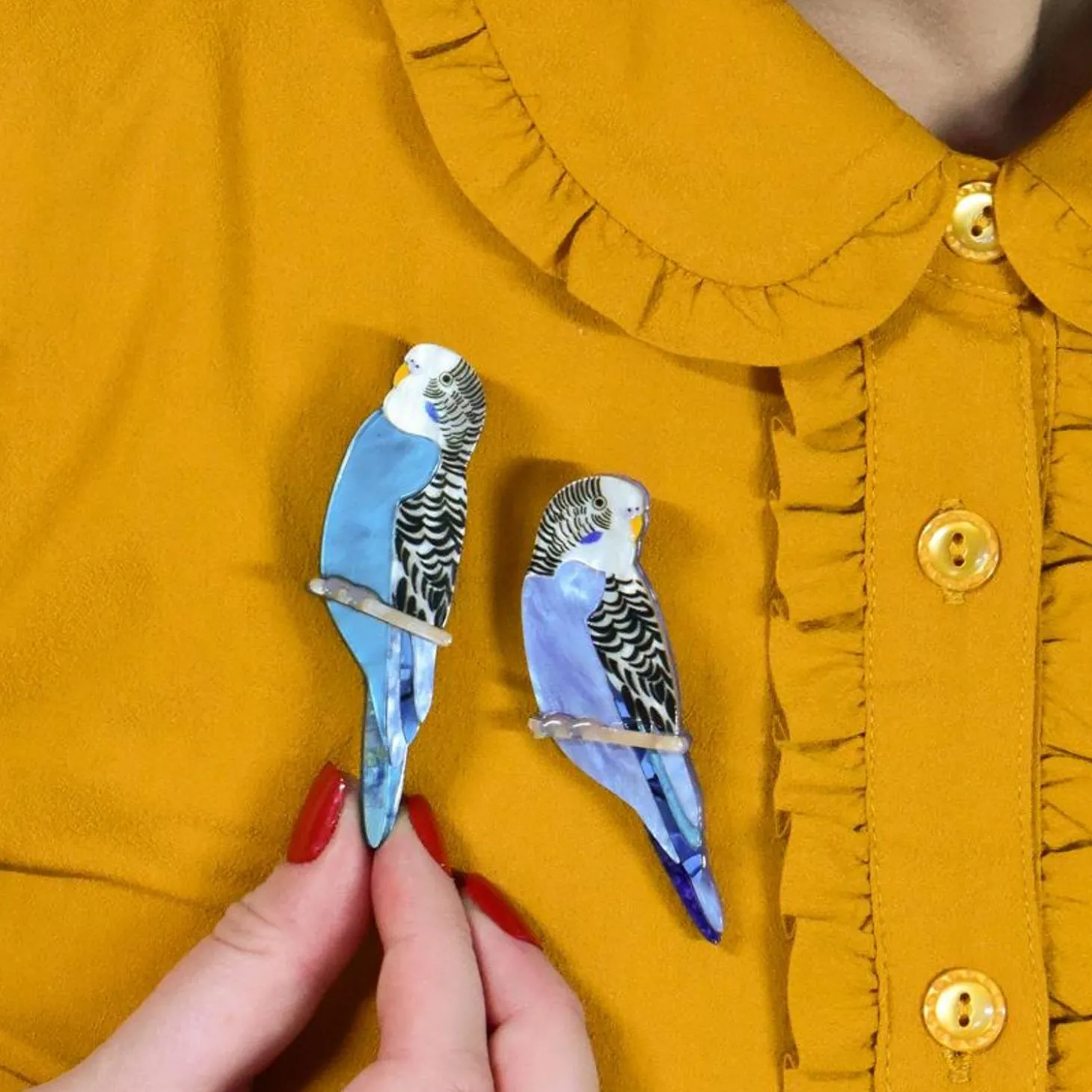 Pair O' Keets Brooch Set