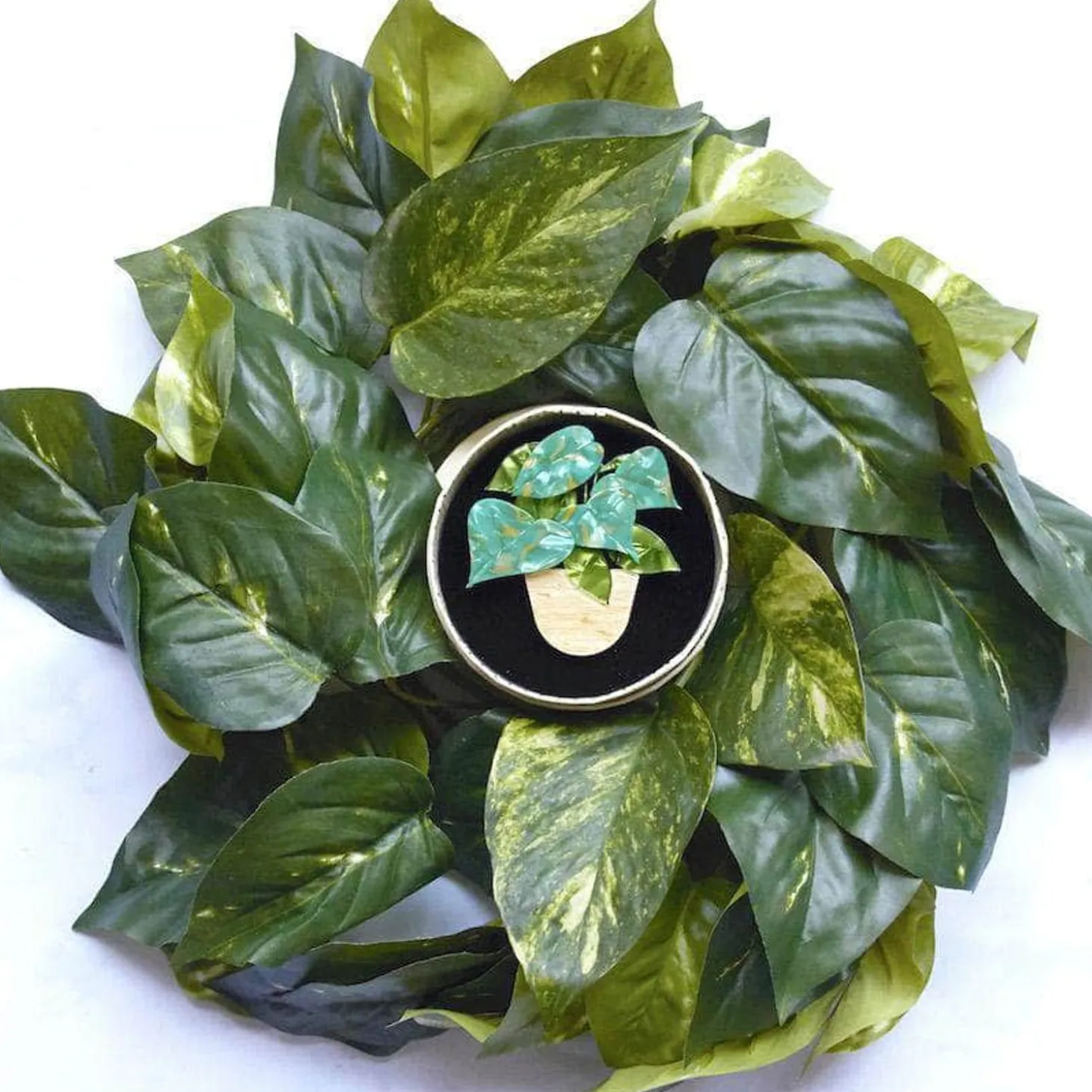 Show Me The Money Plant Brooch