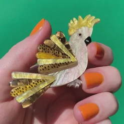 Sunny Of The Sulphur Crest Brooch