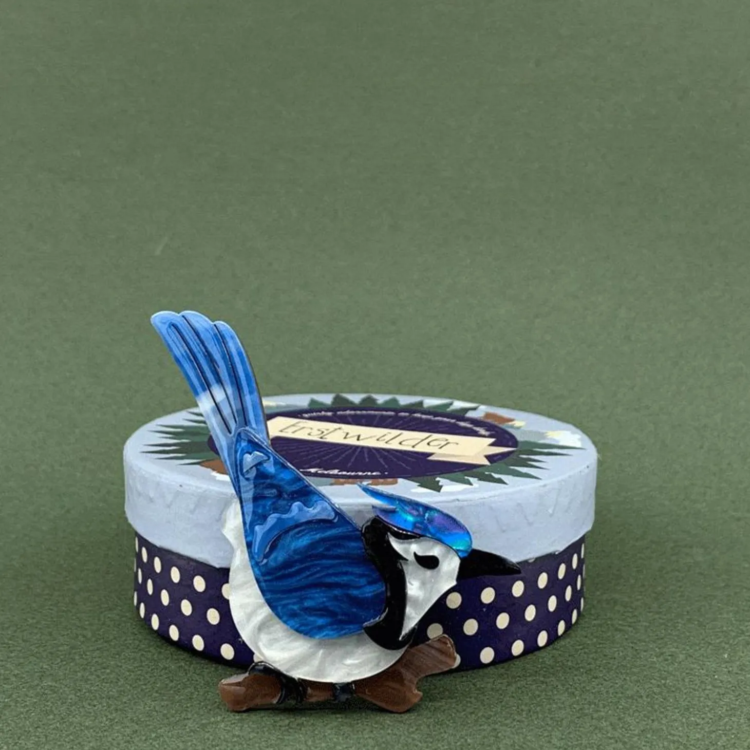 The Blue Jay Way Brooch